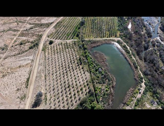 FARM FOR SALE IN LADISMITH